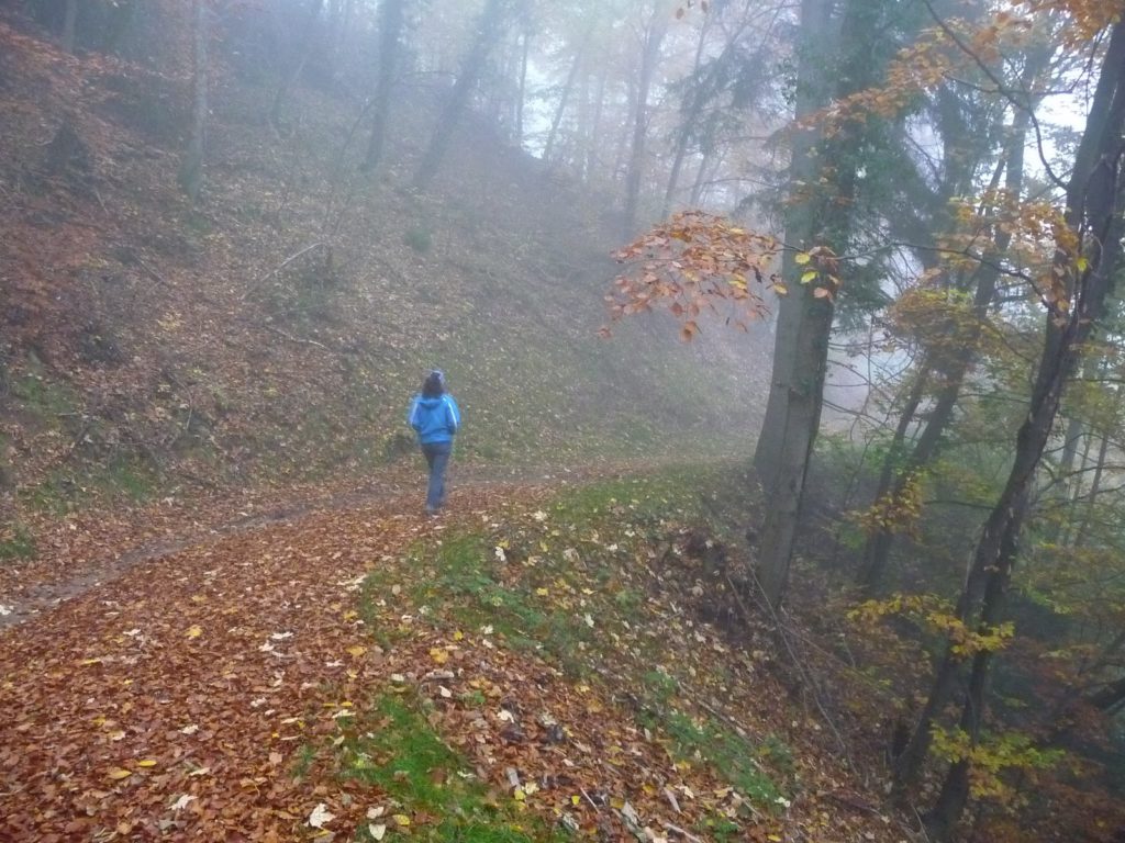 a passeggio nel bosco